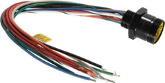 Brad Harrison - 7 Amp, Male Straight Receptacle - 600 VAC/VDC, 0.31m Cable Length, IP67 Ingress Rating - Apex Tool & Supply