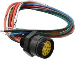 Brad Harrison - 7 Amp, Female Straight Receptacle - 600 VAC/VDC, 0.31m Cable Length, IP67 Ingress Rating - Apex Tool & Supply