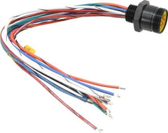 Brad Harrison - 5 Amp, Male Straight Receptacle - 600 VAC/VDC, 0.31m Cable Length, IP67 Ingress Rating - Apex Tool & Supply