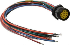 Brad Harrison - 8 Amp, Female Straight Receptacle - 600 VAC/VDC, 0.31m Cable Length, IP67 Ingress Rating - Apex Tool & Supply