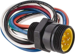 Brad Harrison - 8 Amp, Male Straight Receptacle - 600 VAC/VDC, 0.31m Cable Length, IP67 Ingress Rating - Apex Tool & Supply