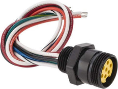 Brad Harrison - 8 Amp, Female Straight Receptacle - 600 VAC/VDC, 0.31m Cable Length, IP67 Ingress Rating - Apex Tool & Supply