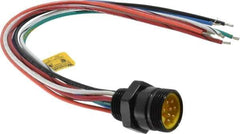 Brad Harrison - 7 Amp, Male Straight Receptacle - 600 VAC/VDC, 0.31m Cable Length, IP67 Ingress Rating - Apex Tool & Supply