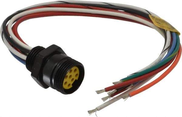 Brad Harrison - 7 Amp, Female Straight Receptacle - 600 VAC/VDC, 0.31m Cable Length, IP67 Ingress Rating - Apex Tool & Supply