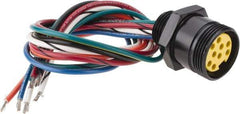 Brad Harrison - 7 Amp, Female Straight Receptacle - 600 VAC/VDC, 0.31m Cable Length, IP67 Ingress Rating - Apex Tool & Supply