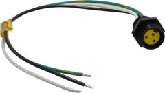 Brad Harrison - 13 Amp, Female Straight Receptacle - 600 VAC/VDC, 0.31m Cable Length, IP67 Ingress Rating - Apex Tool & Supply