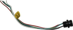 Brad Harrison - 10 Amp, Male Straight Receptacle - 600 VAC/VDC, 0.31m Cable Length, IP67 Ingress Rating - Apex Tool & Supply