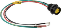 Brad Harrison - 10 Amp, Female Straight Receptacle - 600 VAC/VDC, 0.31m Cable Length, IP67 Ingress Rating - Apex Tool & Supply
