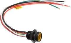 Brad Harrison - 8 Amp, Male Straight Receptacle - 600 VAC/VDC, 0.31m Cable Length, IP67 Ingress Rating - Apex Tool & Supply