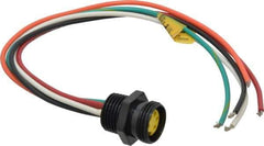 Brad Harrison - 8 Amp, Female Straight Receptacle - 600 VAC/VDC, 0.31m Cable Length, IP67 Ingress Rating - Apex Tool & Supply