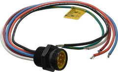 Brad Harrison - 8 Amp, Male Straight Receptacle - 600 VAC/VDC, 0.31m Cable Length, IP67 Ingress Rating - Apex Tool & Supply