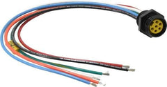 Brad Harrison - 8 Amp, Female Straight Receptacle - 600 VAC/VDC, 0.31m Cable Length, IP67 Ingress Rating - Apex Tool & Supply
