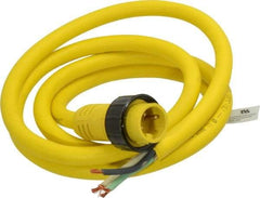 Brad Harrison - 18 Amp, Male Cordset Sensor and Receptacle - IP68 Ingress Rating - Apex Tool & Supply