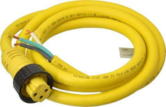 Brad Harrison - 18 Amp, Female Cordset Sensor and Receptacle - IP68 Ingress Rating - Apex Tool & Supply