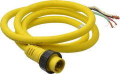 Brad Harrison - 15 Amp, Male Cordset Sensor and Receptacle - IP68 Ingress Rating - Apex Tool & Supply