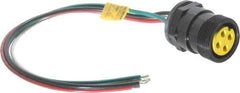 Brad Harrison - 15 Amp, Female Straight Receptacle - IP68 Ingress Rating - Apex Tool & Supply
