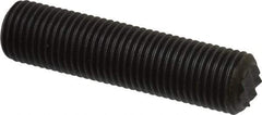 Fairlane - Serrated Tooth, 3/8-24, 3/16" Internal Hex, 1-1/2" Thread Length, Black Oxide Finish, Fully Threaded, Adjustable Positioning Gripper - 1/4" Pad Diam, Extra Fine Tooth Grade - Apex Tool & Supply