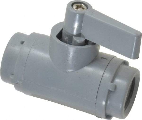 Specialty Mfr - 1/4" Pipe, PVC Standard Ball Valve - Inline - Two Way Flow, FNPT x FNPT Ends, Wedge Handle, 125 WOG - Apex Tool & Supply
