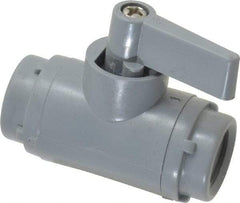 Specialty Mfr - 1/4" Pipe, PVC Standard Ball Valve - Inline - Two Way Flow, FNPT x FNPT Ends, Wedge Handle, 125 WOG - Apex Tool & Supply
