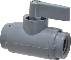 Specialty Mfr - 1/4" Pipe, PVC Standard Ball Valve - Inline - Two Way Flow, FNPT x FNPT Ends, Wedge Handle, 125 WOG - Apex Tool & Supply