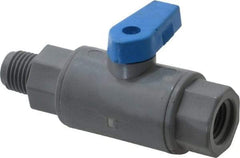 Specialty Mfr - 1/4" Pipe, PVC Standard Ball Valve - Inline - One Way Flow, MNPT x FNPT Ends, Wedge Handle, 125 WOG - Apex Tool & Supply