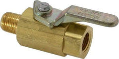 Specialty Mfr - 1/8" Pipe, Brass Standard Ball Valve - Inline - Two Way Flow, MNPT x FNPT Ends, Lever Handle, 500 WOG - Apex Tool & Supply