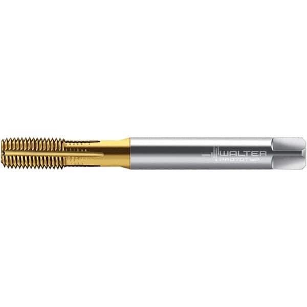Walter-Prototyp - 1/4-20 UNC 2BX Semi-Bottoming Thread Forming Tap - High Speed Steel, TiN Finish, 80mm OAL - Apex Tool & Supply