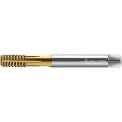 Walter-Prototyp - #10-24 UNC 2BX Semi-Bottoming Thread Forming Tap - High Speed Steel, TiN Finish, 70mm OAL - Apex Tool & Supply