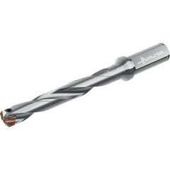 Walter - Replaceable-Tip Drills Series: D4140 Minimum Drill Diameter (mm): 20.00 - Apex Tool & Supply