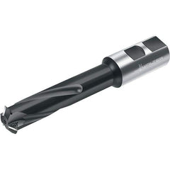 Walter - Indexable Thread Mills Cutting Diameter (mm): 24.00 Cutting Diameter (Decimal Inch): 0.9449 - Apex Tool & Supply