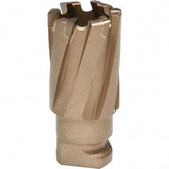 Hougen - 20mm Diam x 19mm Deep Carbide-Tipped Annular Cutter - Apex Tool & Supply