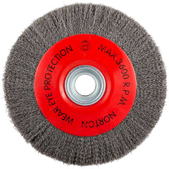 Norton - 10" OD, 3/4" Arbor Hole, Crimped Carbon Wheel Brush - Apex Tool & Supply