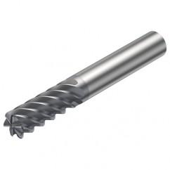 R215.26-10050DAC22H 1610 10mm 6 FL Solid Carbide End Mill - Corner Radius w/Cylindrical Shank - Apex Tool & Supply