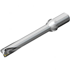 Sandvik Coromant - 9-5/8" Max Drill Depth, 7xD, 1-3/8" Diam, Indexable Insert Drill - Apex Tool & Supply