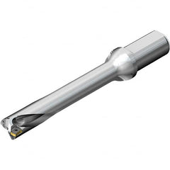 Sandvik Coromant - Indexable Insert Drills Drill Style: DS20 Drill Diameter (Inch): 1-1/8 - Apex Tool & Supply