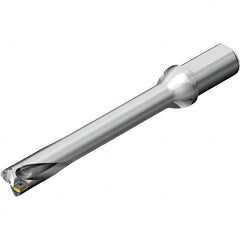 Sandvik Coromant - Indexable Insert Drills Drill Style: DS20 Drill Diameter (mm): 32.00 - Apex Tool & Supply