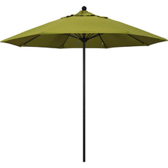 Patio Umbrellas; Diameter (Feet): 9; Height (Feet): 8.583; Fabric Color: Ginkgo; Base Included: No; Canopy Fabric: Pacifica; Fade Resistant: Yes; Additional Information: Push Lift; Frame Material: Aluminum