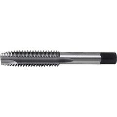 Cle-Line - Spiral Point Taps Thread Size (Inch): 5/8-11 Number of Flutes: 3 - Apex Tool & Supply