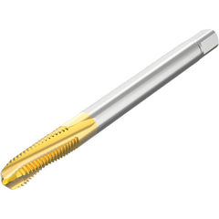 Seco - Spiral Flute Taps Thread Size (mm): M10 Chamfer: Modified Bottoming - Apex Tool & Supply