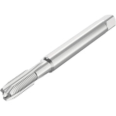 Seco - Spiral Point Taps Thread Size (Inch): 1/4-28 Number of Flutes: 3 - Apex Tool & Supply