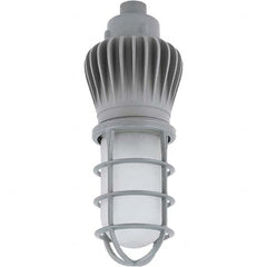 Hubbell Lighting - Hazardous Location Light Fixtures Resistance Features: Vaporproof Recommended Environment: Indoor; Outdoor - Apex Tool & Supply