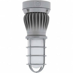 Hubbell Lighting - Hazardous Location Light Fixtures Resistance Features: Vaporproof Recommended Environment: Indoor; Outdoor - Apex Tool & Supply