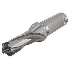 Iscar - Replaceable-Tip Drills Series: LogIQ3Cham Minimum Drill Diameter (mm): 17.00 - Apex Tool & Supply