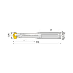 Replaceable Tip Drill: 9.5 to 9.9 mm Drill Dia, 29 mm Max Depth, 10 mm Weldon Flat Shank Uses DMP Inserts, 76.2 mm OAL, Through Coolant