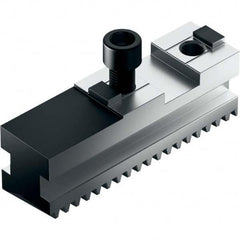 Schunk - 5" Max Chuck Diam Serrated Hard Lathe Chuck Master Jaws - Apex Tool & Supply