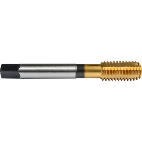 ‎1/4″- 20 Union Butterfield HSS-PM TiN Applix UNC UNC Machine Forming Tap ANSI E-code # 16411/4X20H4 - Exact Industrial Supply