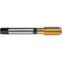 ‎5/16″- 24 Union Butterfield HSS-PM TiN Applix UNF UNF Machine Forming Tap ANSI E-code # 16415/16X24H7 - Exact Industrial Supply