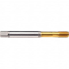 Emuge - #10-32 UNF 2BX Bottoming Thread Forming Tap - Apex Tool & Supply