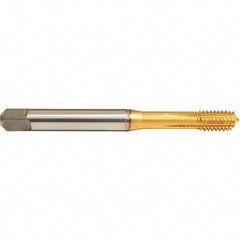 Emuge - M3x0.50 Metric 6HX Modified Bottoming Thread Forming Tap - Apex Tool & Supply