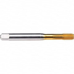 Emuge - 1/2-13 UNC 2BX Bottoming Thread Forming Tap - Apex Tool & Supply